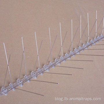 Long Plastic Pigeon Control Spikes Anti Bird Spikes